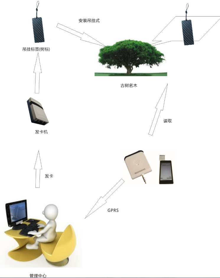 凯泰科技RFID智能管理系统之--古树管理系统解决方案